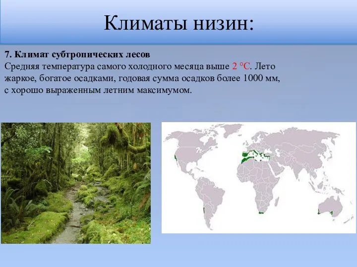 Климаты низин: 7. Климат субтропических лесов Средняя температура самого холодного месяца выше 2