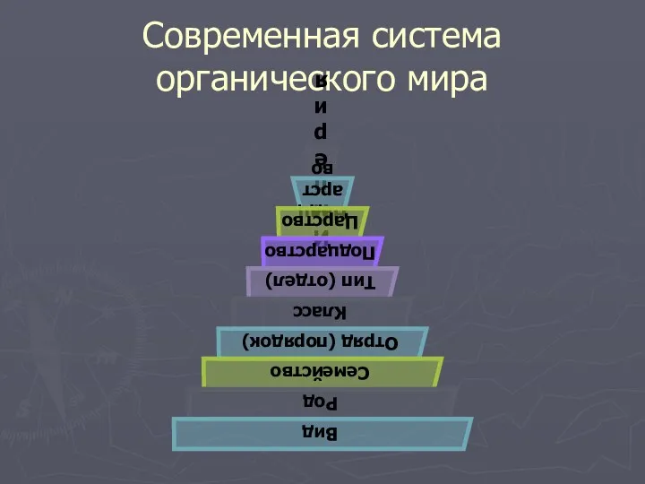 Современная система органического мира