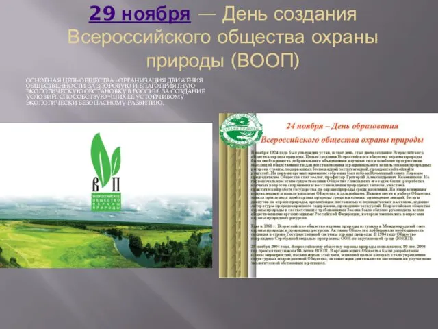 29 ноября — День создания Всероссийского общества охраны природы (ВООП)