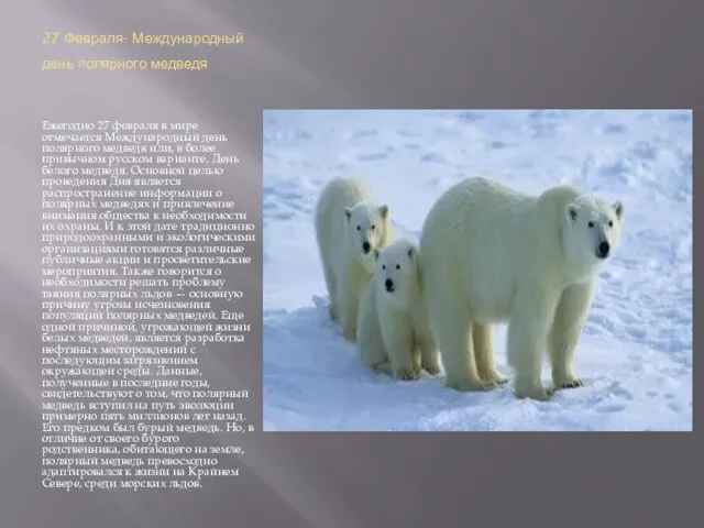 27 Февраля- Международный день полярного медведя Ежегодно 27 февраля в