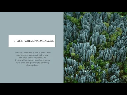 STONE FOREST, MADAGASCAR Tens of kilometers of stone forest with