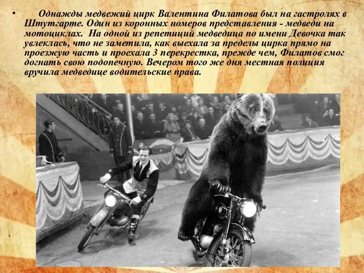 Однажды медвежий цирк Валентина Филатова был на гастролях в Штутгарте.