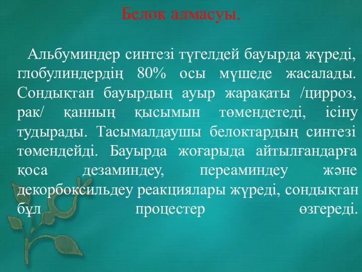 Белок алмасуы. Альбуминдер синтезі түгелдей бауырда жүреді, глобулиндердің 80% осы