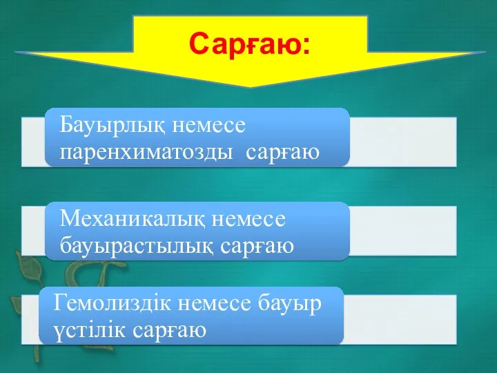 Сарғаю: