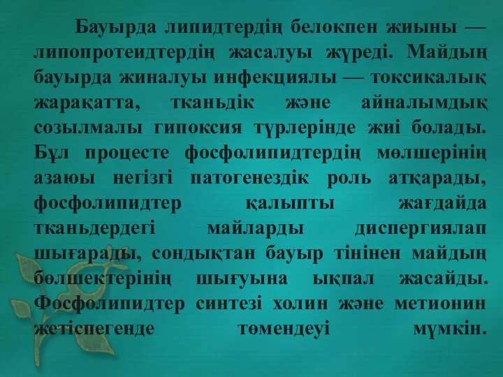 Бауырда липидтердің белокпен жиыны — липопротеидтердің жасалуы жүреді. Майдың бауырда