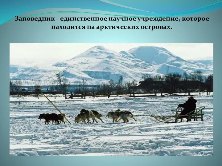 Заповедник - единственное научное учреждение, которое находится на арктических островах.