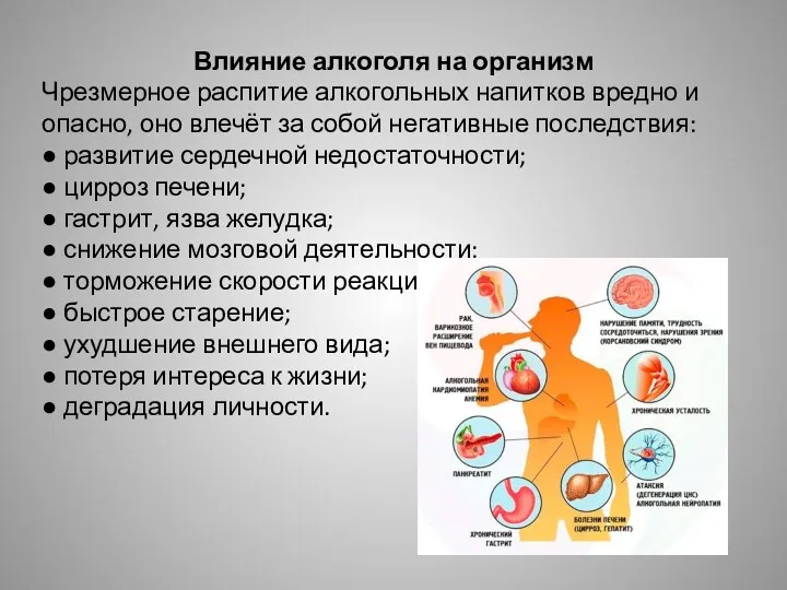 Влияние алкоголя на организм Чрезмерное распитие алкогольных напитков вредно и опасно, оно влечёт