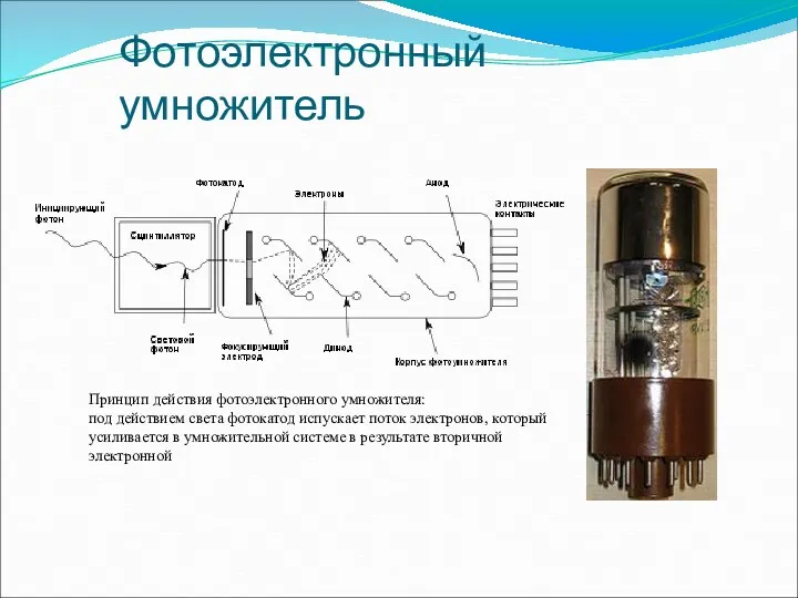 Фотоэлектронный умножитель Принцип действия фотоэлектронного умножителя: под действием света фотокатод испускает поток электронов,