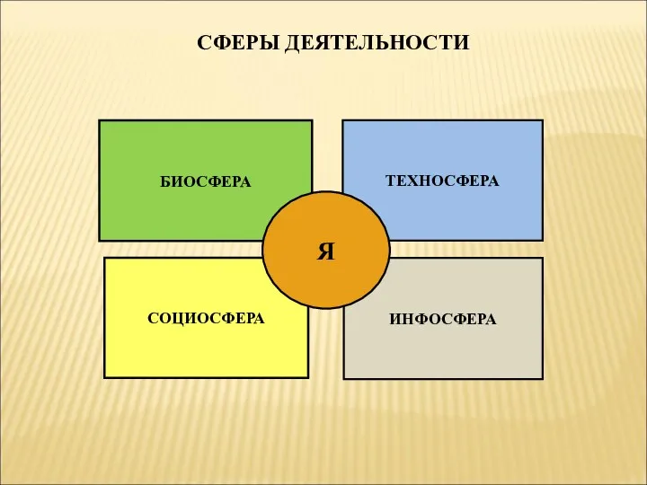 БИОСФЕРА СОЦИОСФЕРА ТЕХНОСФЕРА ИНФОСФЕРА Я СФЕРЫ ДЕЯТЕЛЬНОСТИ