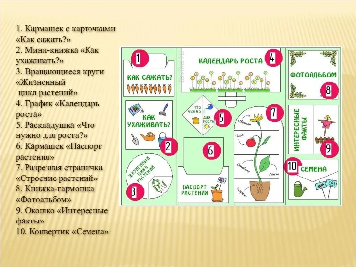 1. Кармашек с карточками «Как сажать?» 2. Мини-книжка «Как ухаживать?»