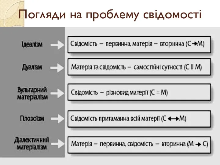 Погляди на проблему свідомості