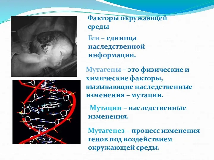 Факторы окружающей среды Мутации – наследственные изменения. Мутагены – это