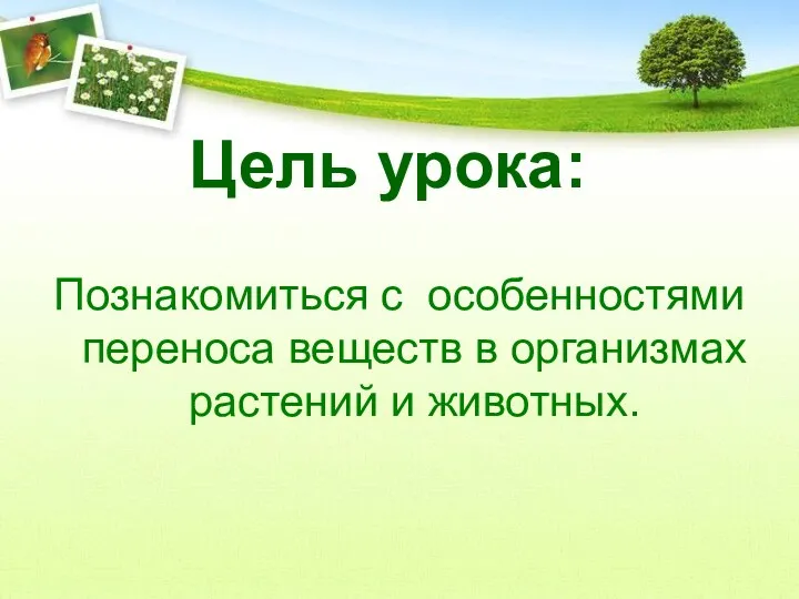 Цель урока: Познакомиться с особенностями переноса веществ в организмах растений и животных.