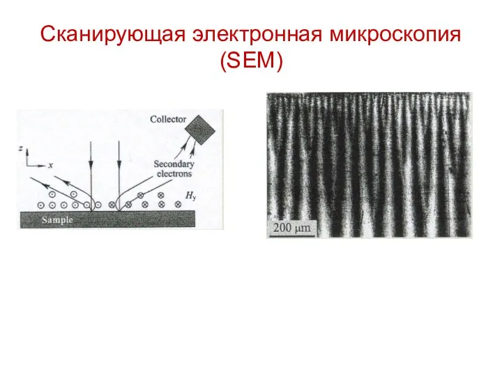 Сканирующая электронная микроскопия (SEM)