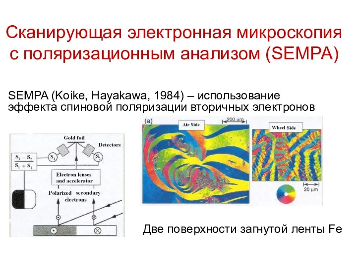 Сканирующая электронная микроскопия с поляризационным анализом (SEMPA) SEMPA (Koike, Hayakawa,