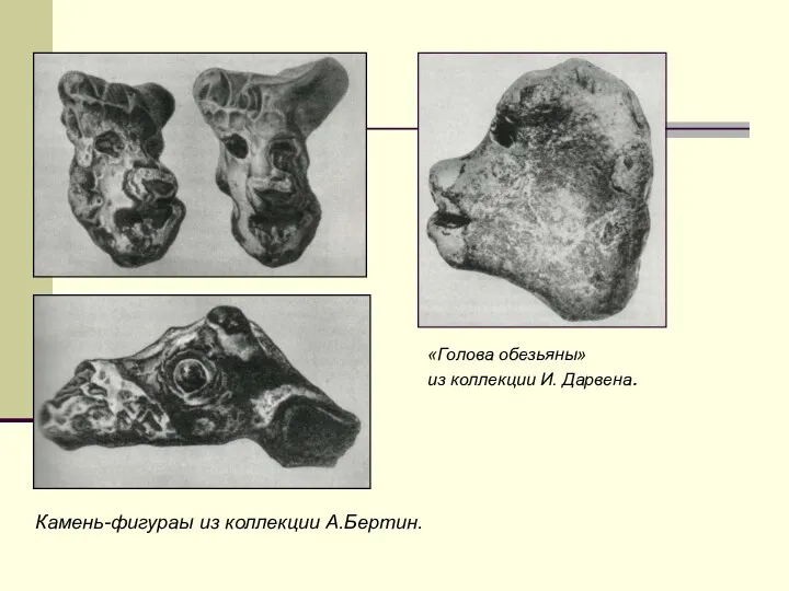 «Голова обезьяны» из коллекции И. Дарвена. Камень-фигураы из коллекции А.Бертин.