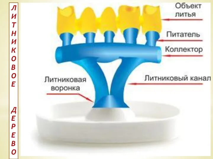 Л И Т Н И К О В О Е Д Е Р Е В О