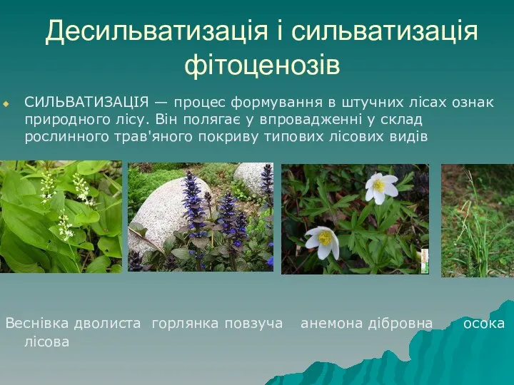 Десильватизація і сильватизація фітоценозів СИЛЬВАТИЗАЦІЯ — процес формування в штучних