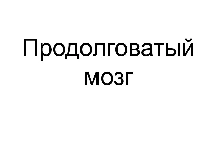 Продолговатый мозг