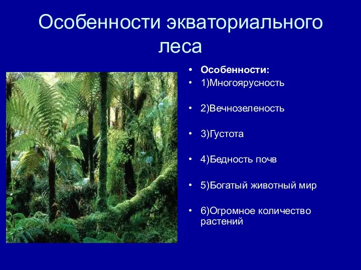 Особенности экваториального леса Особенности: 1)Многоярусность 2)Вечнозеленость 3)Густота 4)Бедность почв 5)Богатый животный мир 6)Огромное количество растений