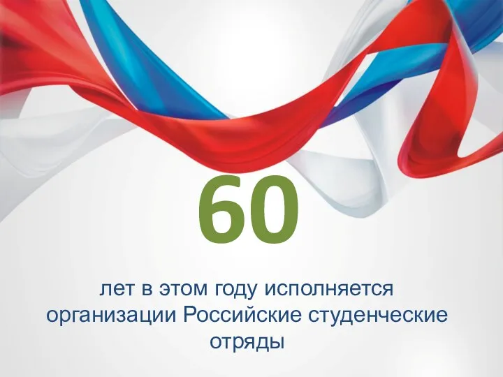 лет в этом году исполняется организации Российские студенческие отряды 60