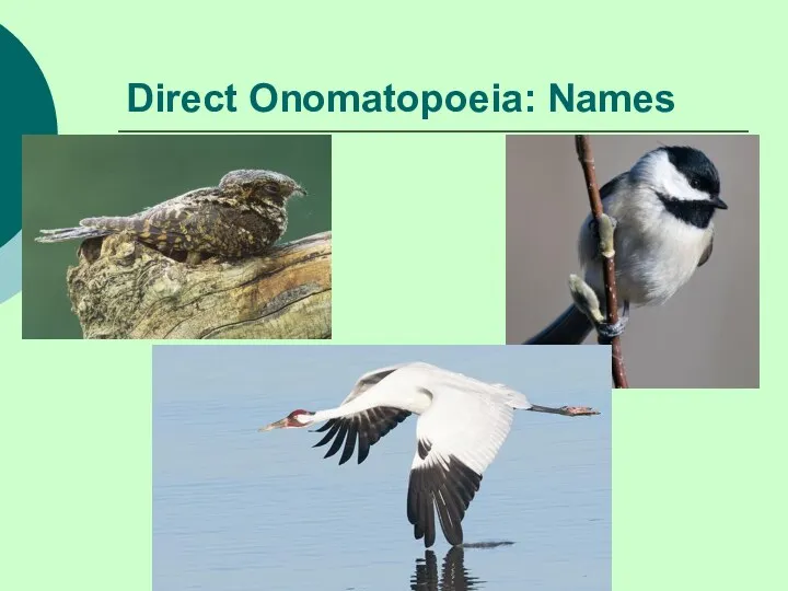 Direct Onomatopoeia: Names
