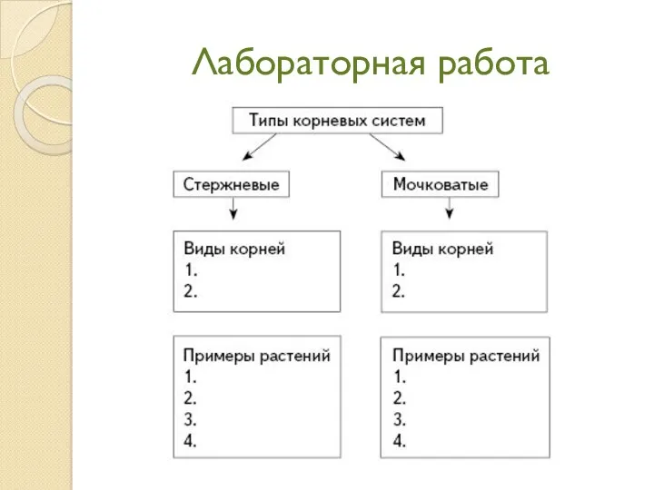 Лабораторная работа