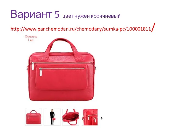 Вариант 5 цвет нужен коричневый http://www.panchemodan.ru/chemodany/sumka-pc/100001811/