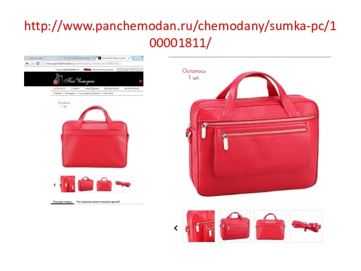 http://www.panchemodan.ru/chemodany/sumka-pc/100001811/