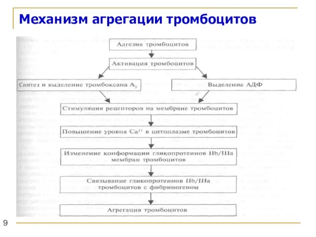 Механизм агрегации тромбоцитов