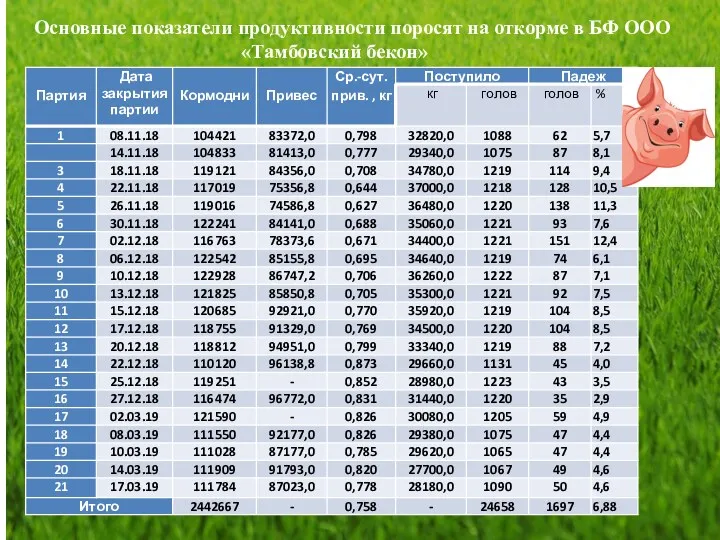 Основные показатели продуктивности поросят на откорме в БФ ООО «Тамбовский бекон»