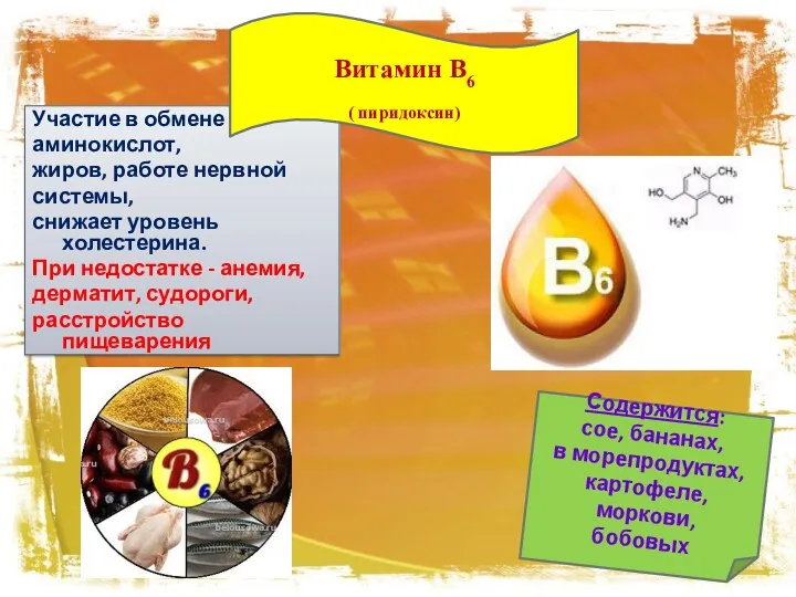 Участие в обмене аминокислот, жиров, работе нервной системы, снижает уровень холестерина. При недостатке