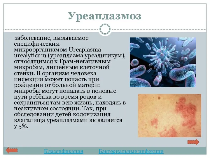 Уреаплазмоз — заболевание, вызываемое специфическим микроорганизмом Ureaplasma urealyticum (уреаплазма уреалитикум), относящимся к Грам-негативным