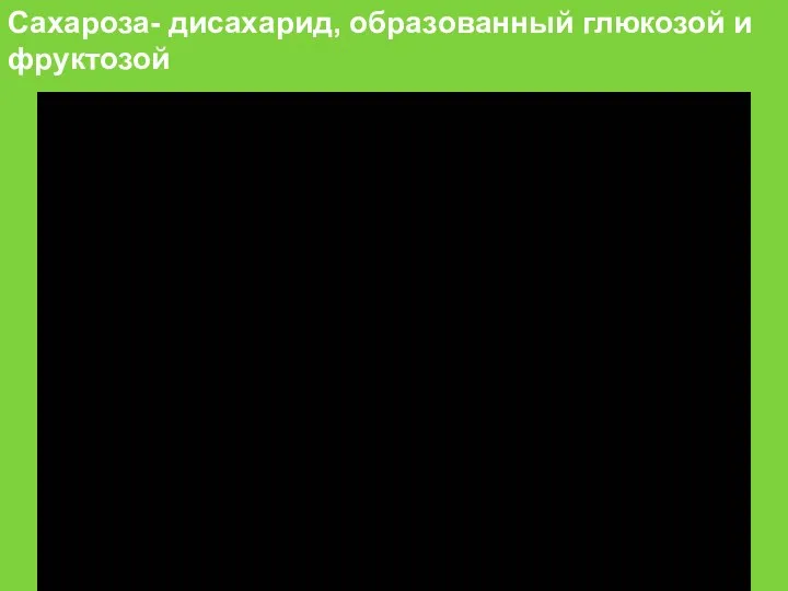 Сахароза- дисахарид, образованный глюкозой и фруктозой