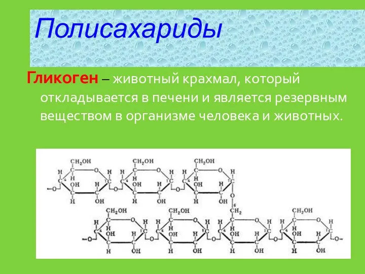 Гликоген – животный крахмал, который откладывается в печени и является