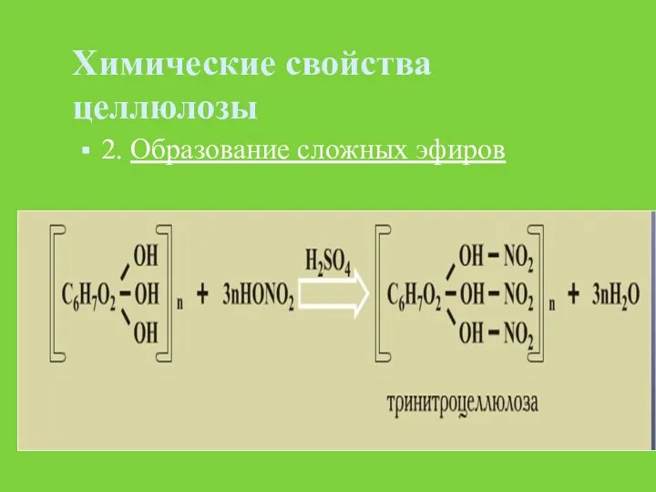 Химические свойства целлюлозы 2. Образование сложных эфиров