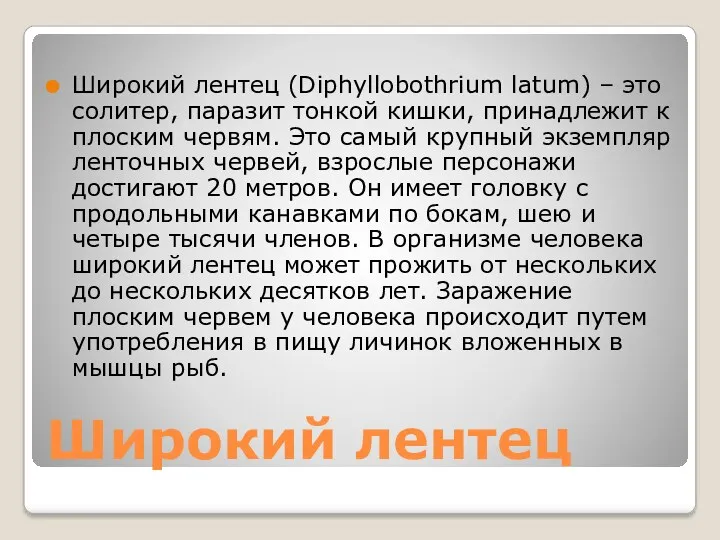 Широкий лентец Широкий лентец (Diphyllobothrium latum) – это солитер, паразит тонкой кишки, принадлежит