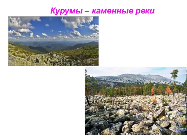 Курумы – каменные реки