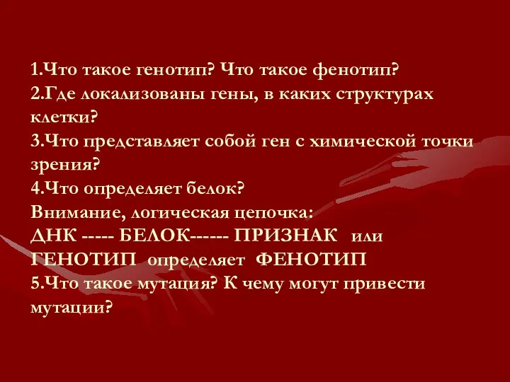 1.Что такое генотип? Что такое фенотип? 2.Где локализованы гены, в