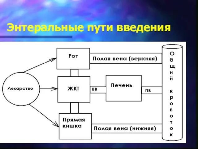 Энтеральные пути введения