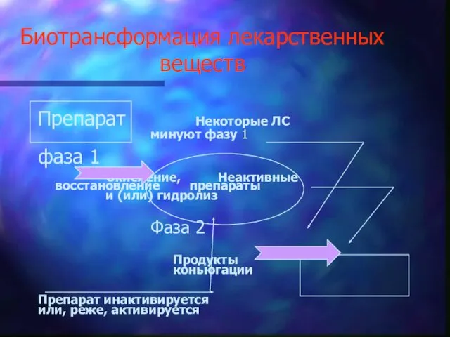 Биотрансформация лекарственных веществ Препарат Некоторые ЛС минуют фазу 1 фаза