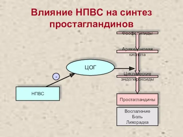 Влияние НПВС на синтез простагландинов