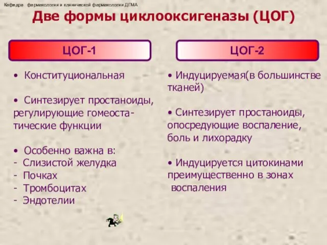 Две формы циклооксигеназы (ЦОГ) ЦОГ-1 ЦОГ-2 • Конституциональная • Синтезирует