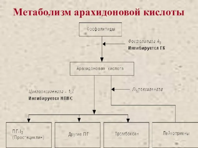 Метаболизм арахидоновой кислоты