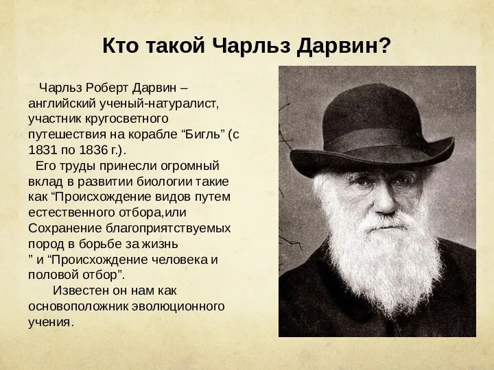 Кто такой Чарльз Дарвин? Чарльз Роберт Дарвин – английский ученый-натуралист,