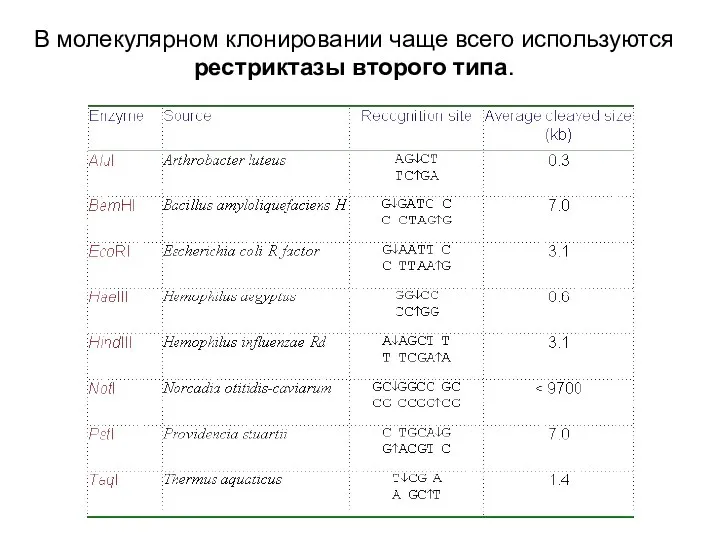 В молекулярном клонировании чаще всего используются рестриктазы второго типа.