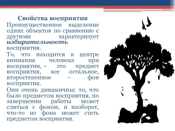 Свойства восприятия Преимущественное выделение одних объектов по сравнению с другими характеризует избирательность восприятия.