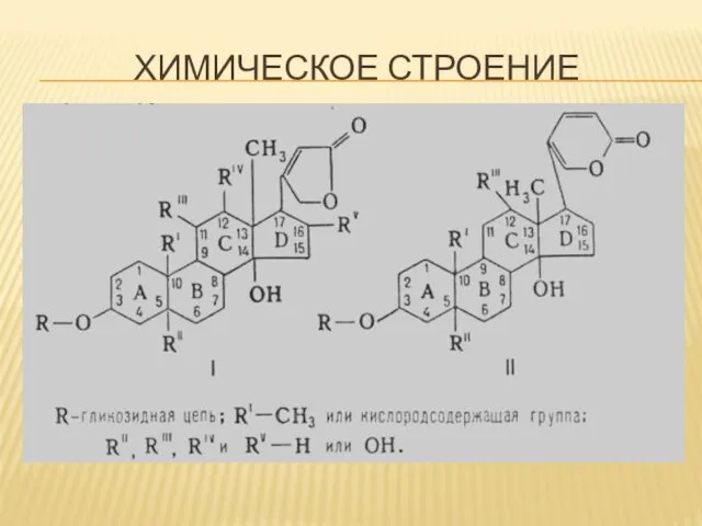 ХИМИЧЕСКОЕ СТРОЕНИЕ