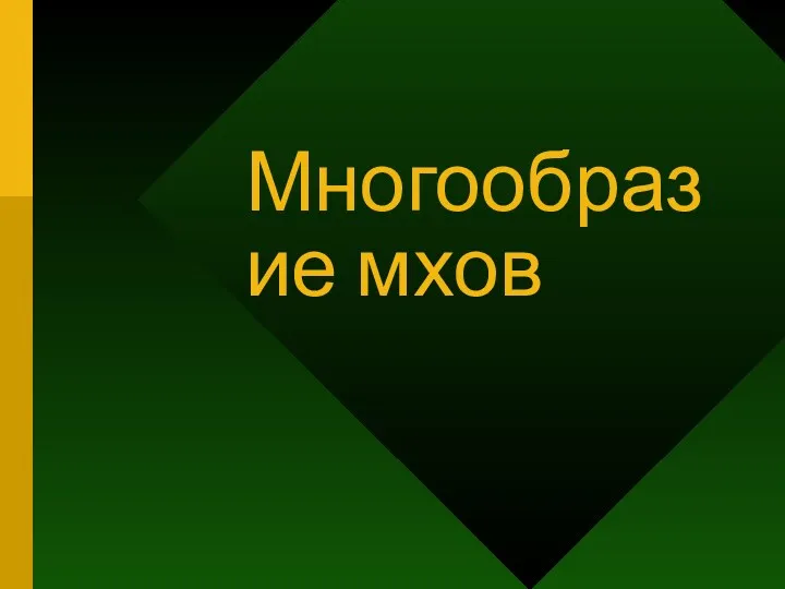 Многообразие мхов