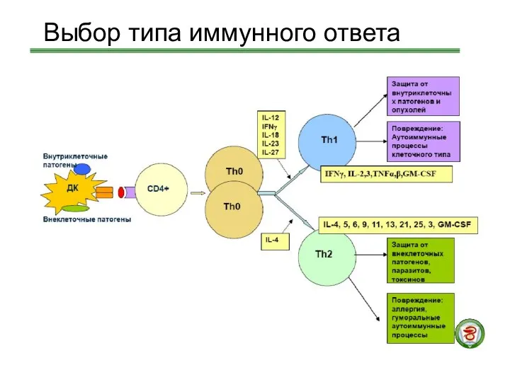 Выбор типа иммунного ответа